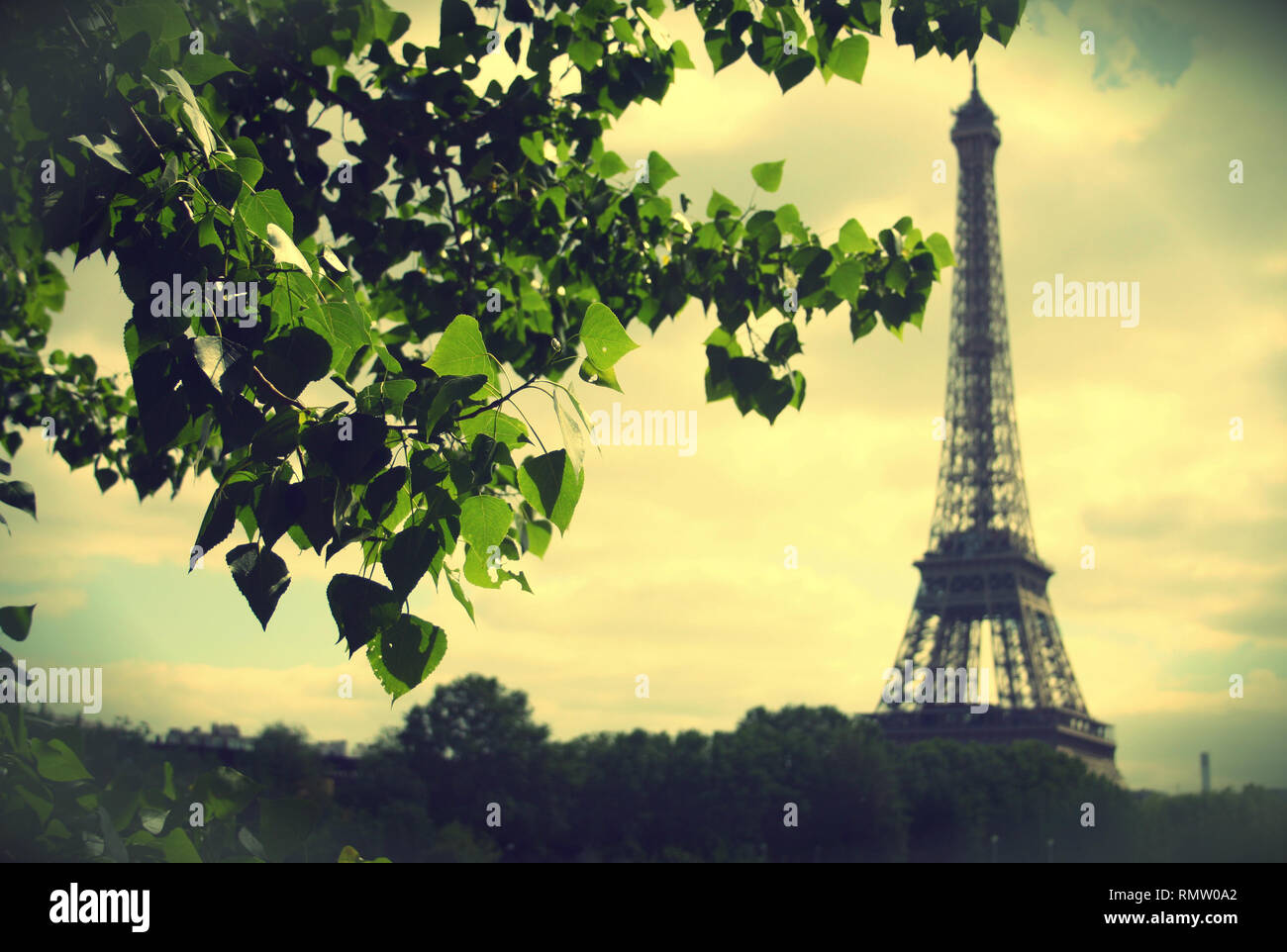 Paris Frankreich Europa Eifelturm im Hintergrund, Vorne grüne Blätter Stockfoto