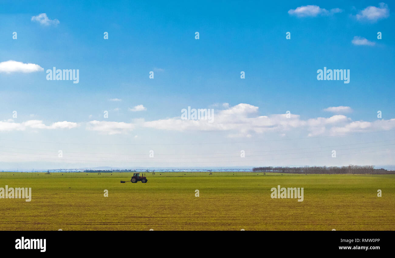 Traktor im grünen Feld über blauen bewölkten Himmel im Sommer oder Herbst Stockfoto