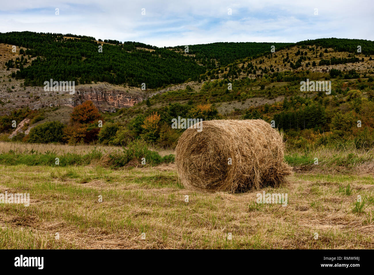 Hay. Landwirtschaft Feld mit mounatin und Sky. Ländliche Natur in der Farm Land. Stroh auf der Wiese. Weizen gelb Goldenen Ernte im Spätsommer Stockfoto