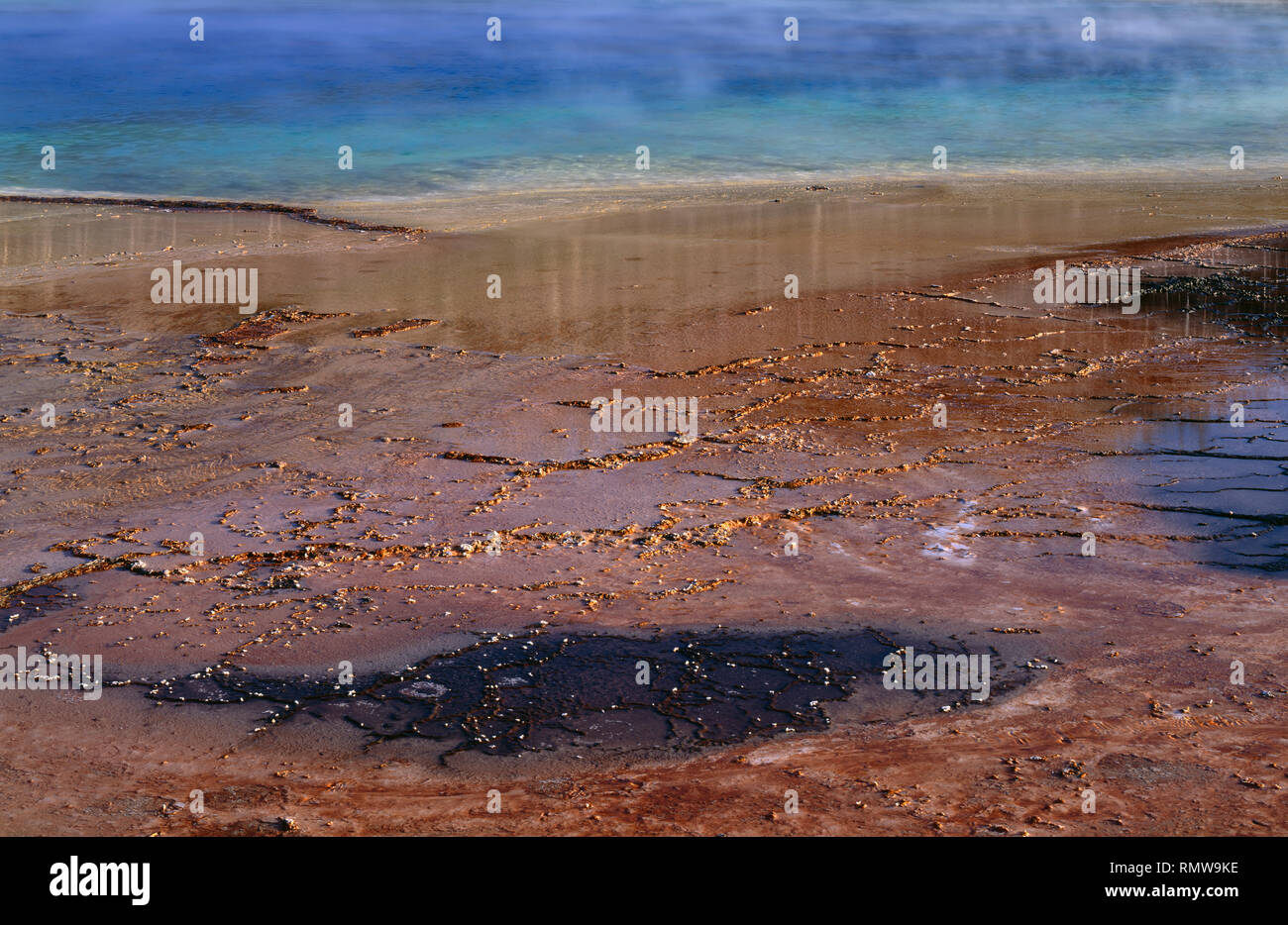 USA, Wyoming, Yellowstone National Park, Wärme tolerant Algen Farbe am Rand der Grand Prismatic Spring. Stockfoto