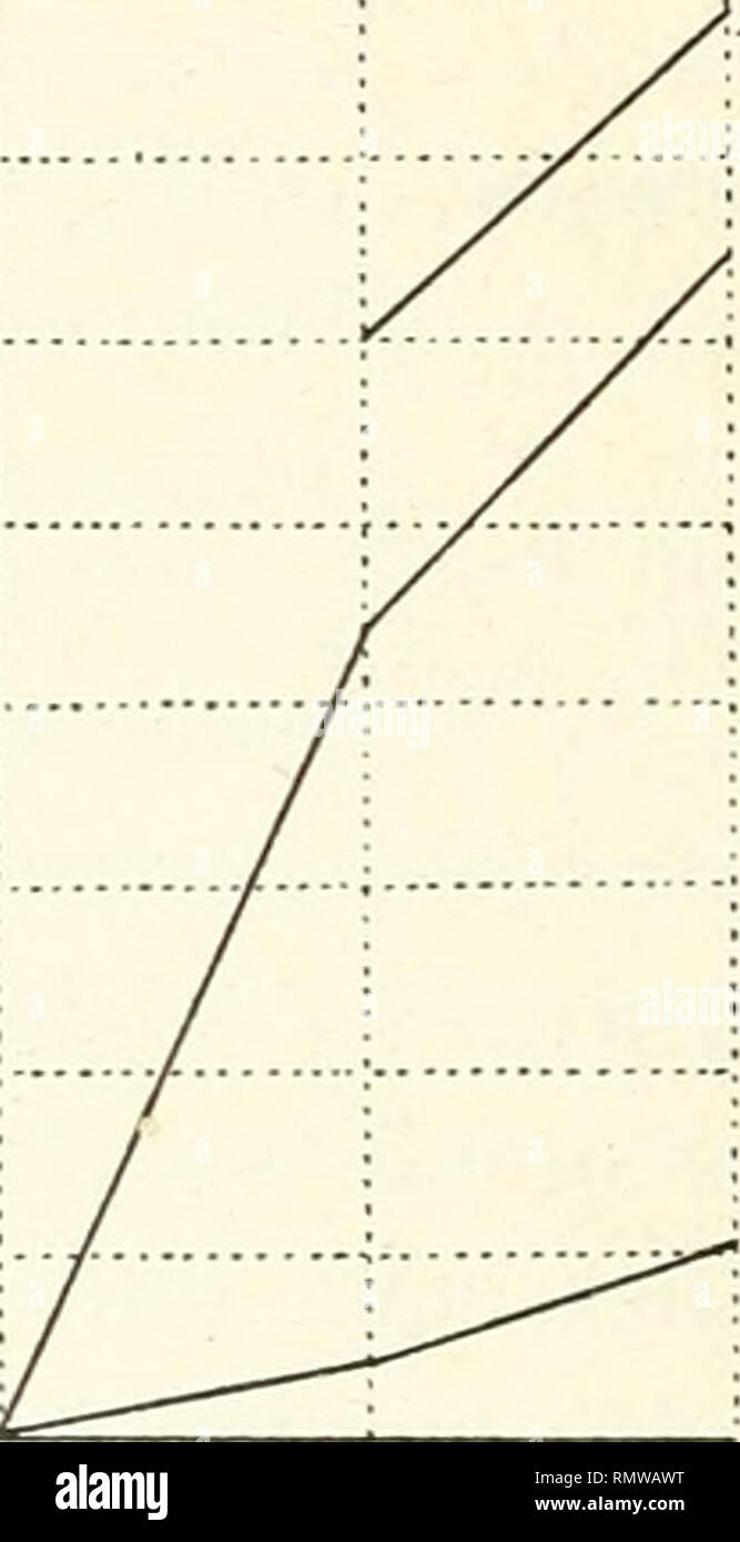 . Annales des sciences naturelles. Pflanzen; Biologie.lU RAOUL COMBES lu plus grande Partie du développement; Mais, à la Tin de La Période végétative, c'est à la lumière atténuée (en4) qu'elle est Lapins forte. V Atriplex Q comporte à peu près comme le iSV/A^o/r/vis-à-vis de Téclairement; cependant, Tandis que ce-assimile Letzte peu aux éclairements 3 et 4 et n'atteint Son développement normal^ | u'à la lumière Solaire nicht atténuée, TA/; 7/;/e 2 - croît à peu Près' aussi Bien à Téclairement 4 qu'à la lumière Solaire directe; Mais à l'éclairement 3 la formation delà Substanz sèche, Pen-ter tout Stockfoto