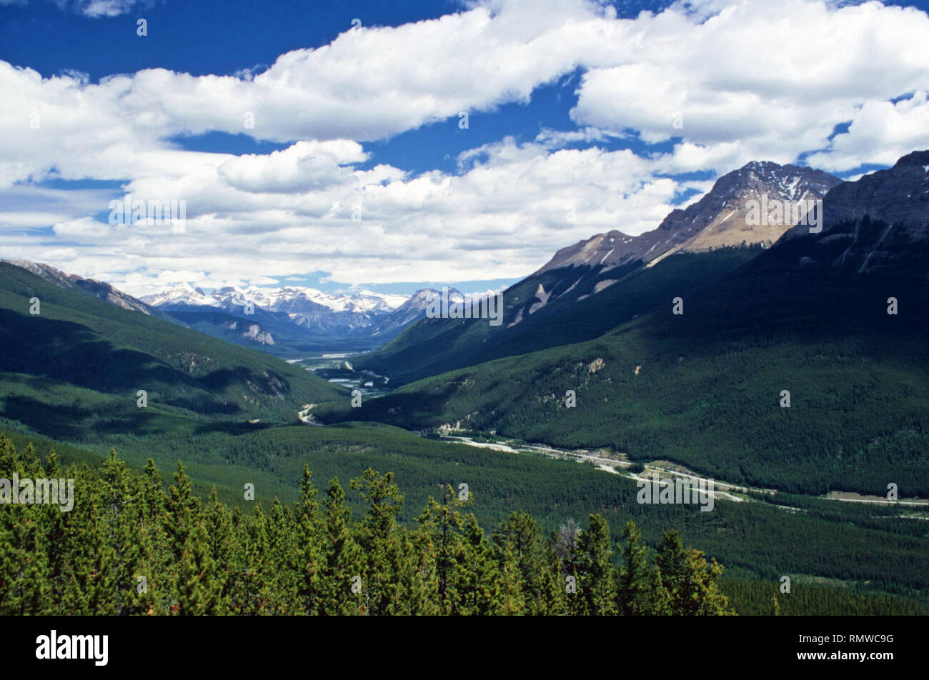 Der Yoho National Park vom Jäger Lookout, Alberta, Kanada Stockfoto