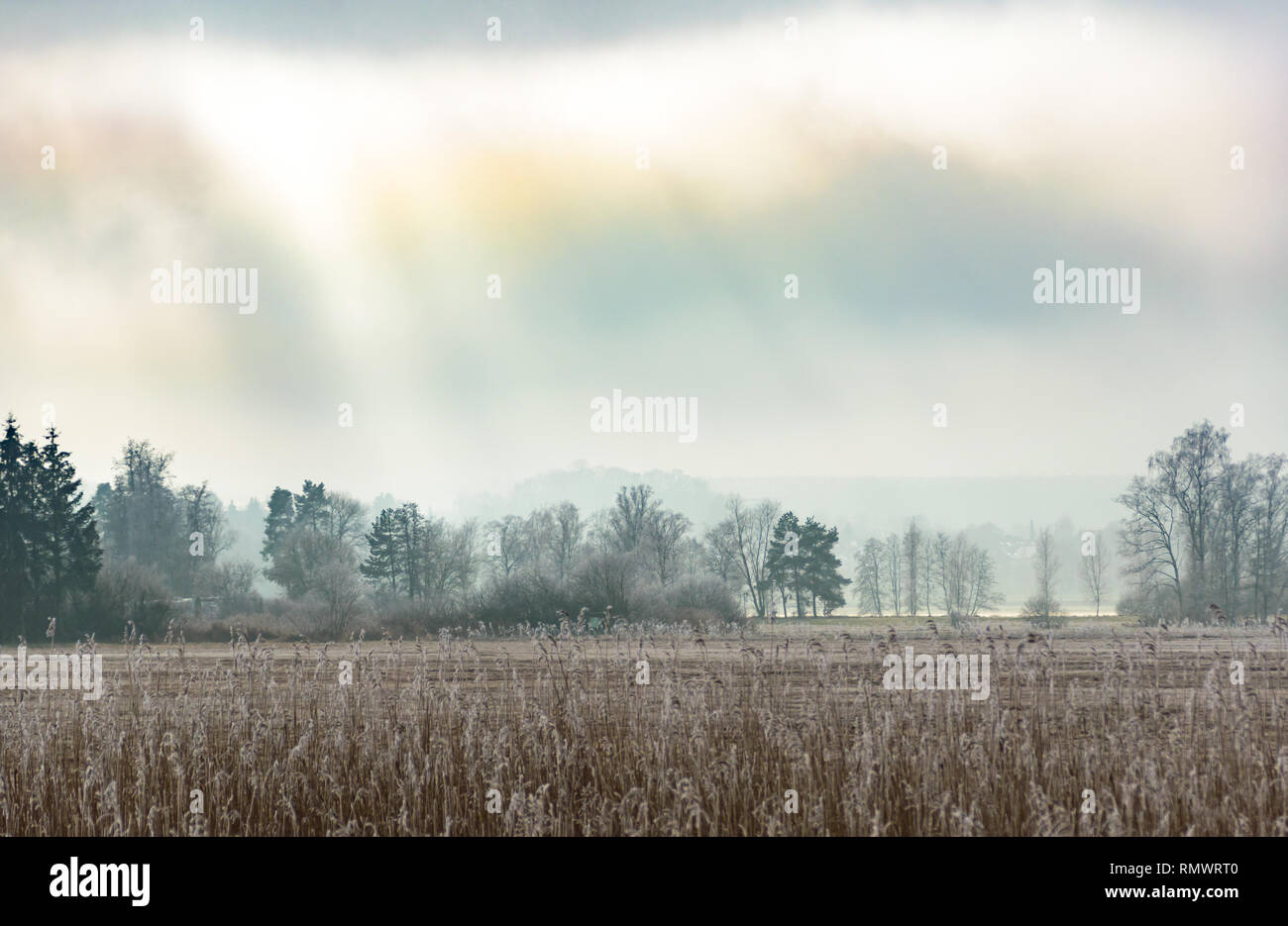 Ich scheint die Sonne durch die Wolken auf einer kalten und frostigen Winter Landschaft Landschaft mit Reed Stockfoto