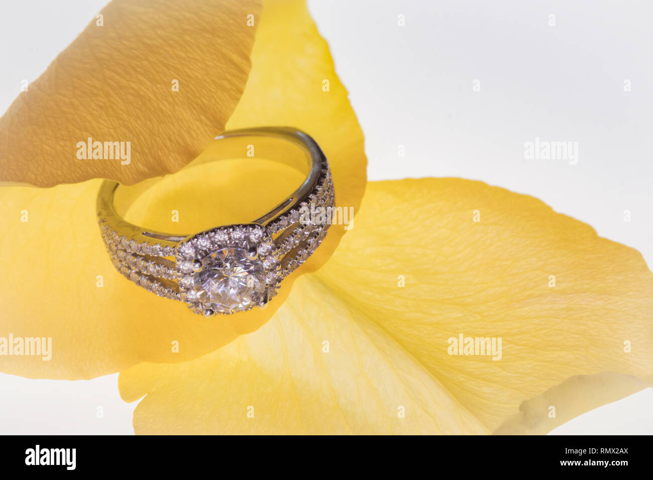 Verlobungsring auf Blütenblatt Stockfoto