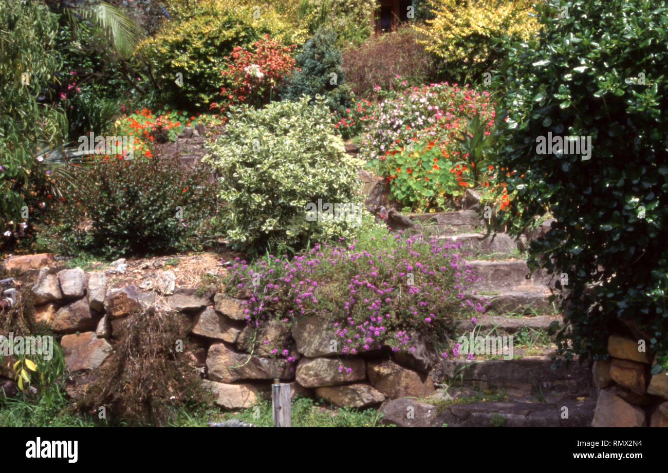 BLICK AUF DEN ERHÖHTEN GARTEN UND TREPPEN, DIE VON EINEM GARTEN IM LANDHAUSSTIL MIT FELSWÄNDEN UND VERSCHIEDENEN PFLANZEN UND STRÄUCHERN FÜHREN. AUSTRALIEN Stockfoto