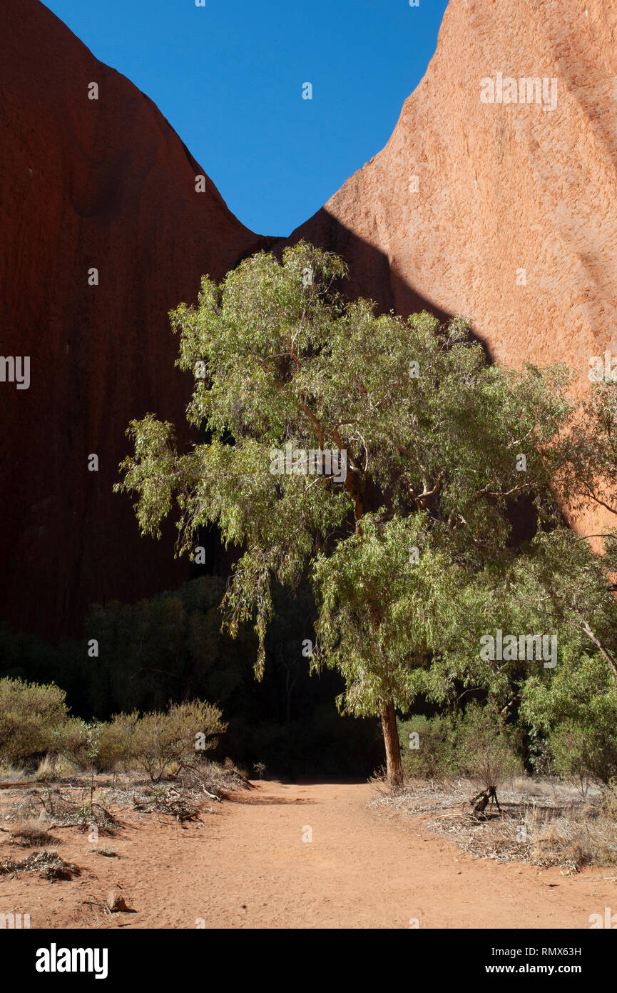 Uluru, Northern Territory, Australien Stockfoto