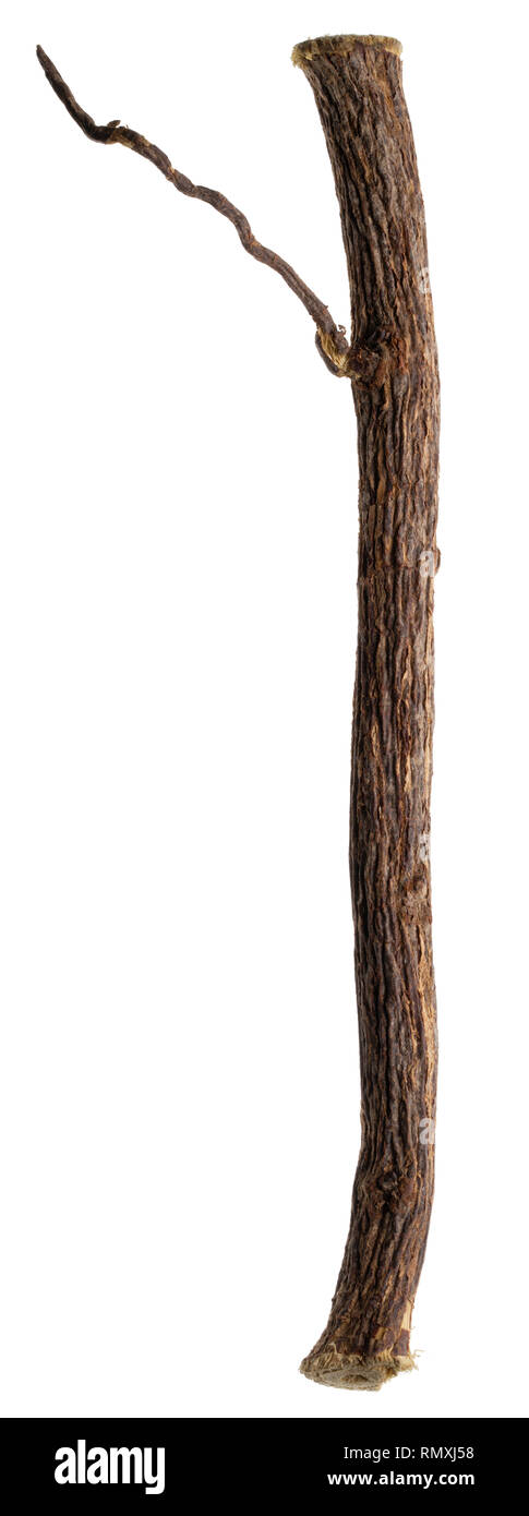 Süßholzwurzel Sticks aus Asien, für Würze in der Küche oder Süßwaren verwendet. Stockfoto