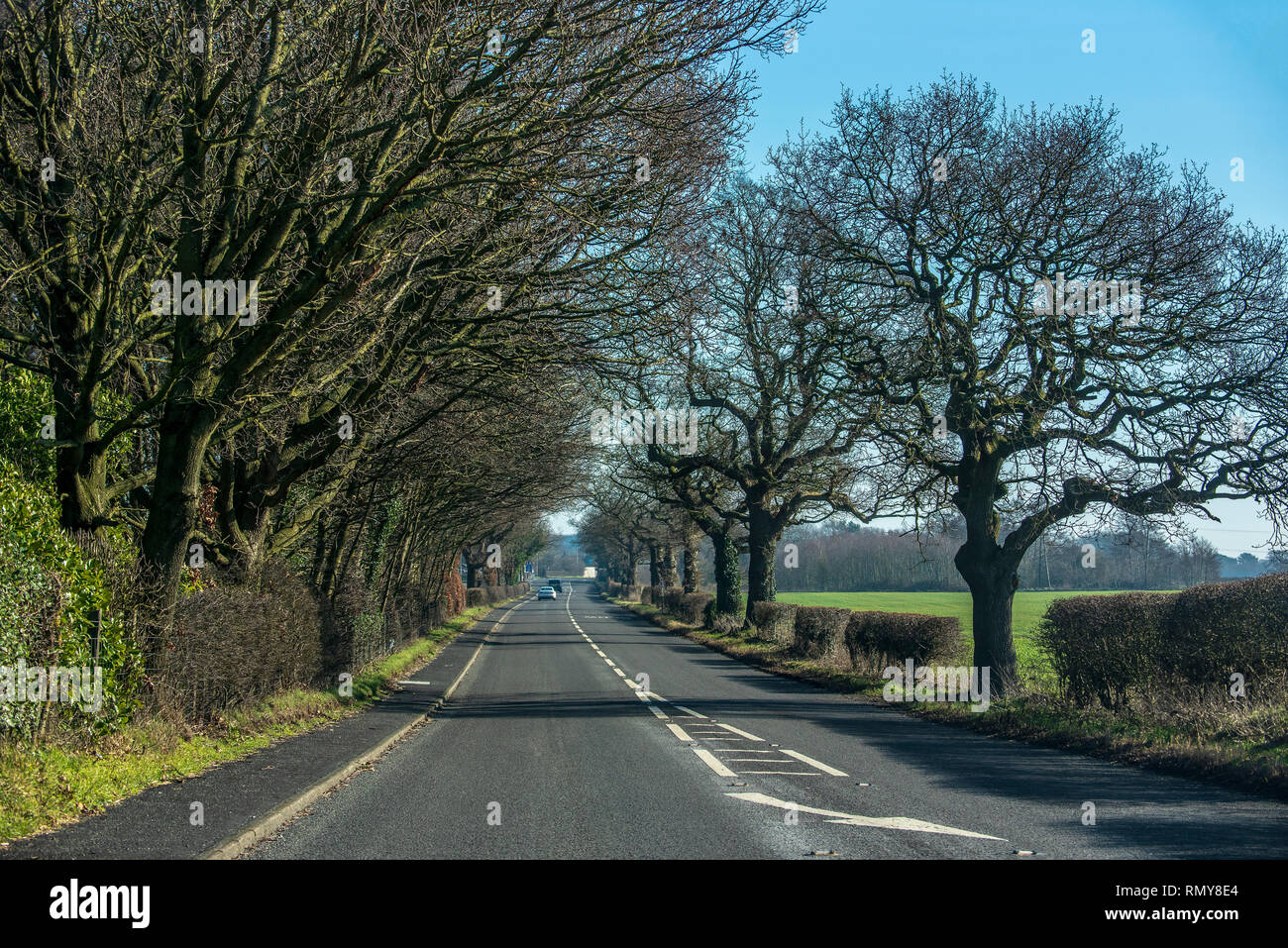 Abschnitt der A 50-Fernstraße in Warrington. Mit Bäumen gesäumten Stockfoto