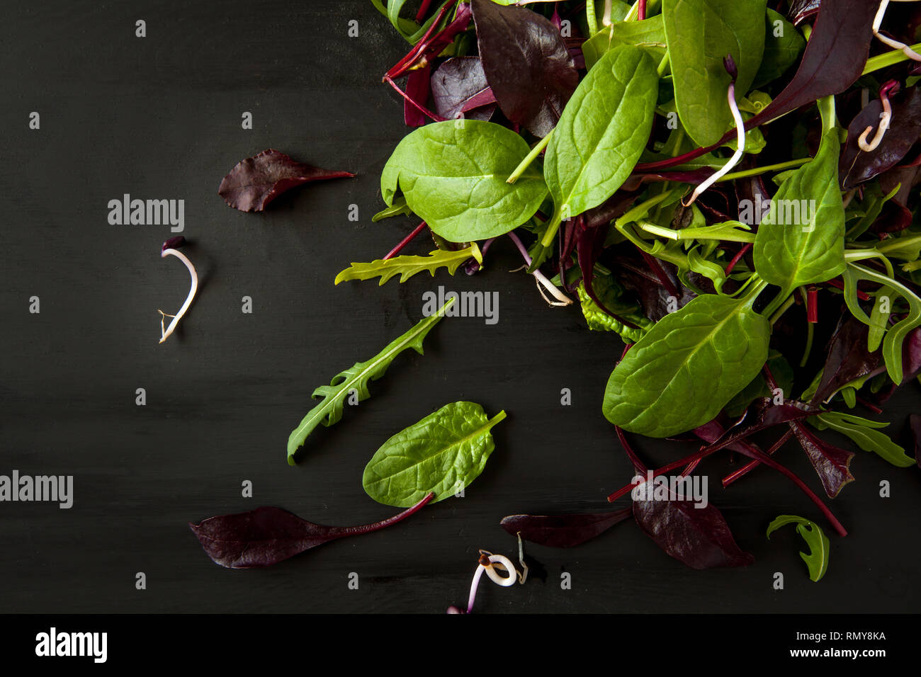 Frühling detox Salat Mix mit Rucola, Rote Beete, Spinat und Rosenkohl auf dunklen Holzplatte auf schwarzen Hintergrund, Ansicht von oben. Stockfoto