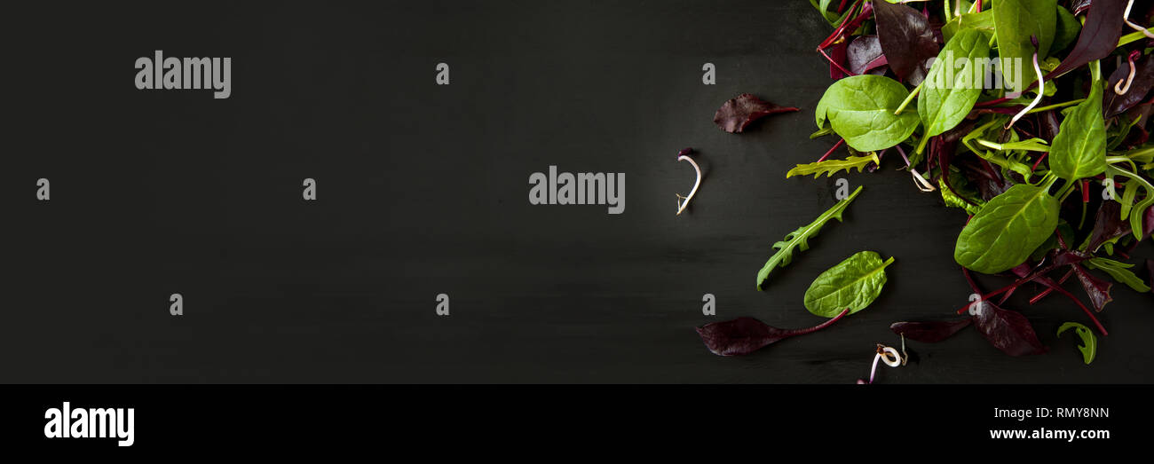 Frühling detox Salat Mix mit Rucola, Rote Beete, Spinat und Rosenkohl auf dunklen Holzplatte auf schwarzen Hintergrund, Ansicht von oben. Banner Stockfoto