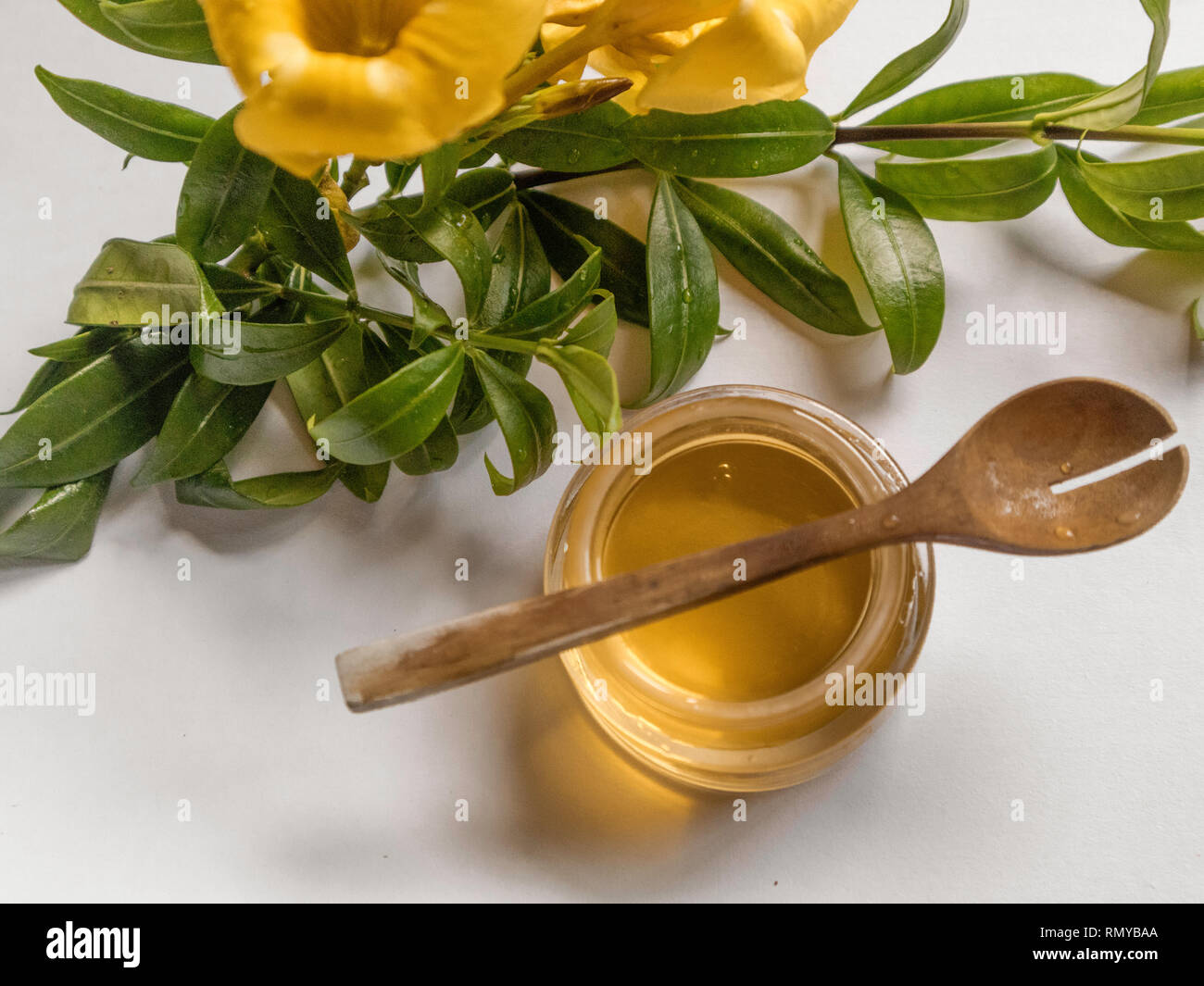 Honig, organische Hautpflege Hilfsmittel mit natürlichen Materialien gestaltete Stockfoto