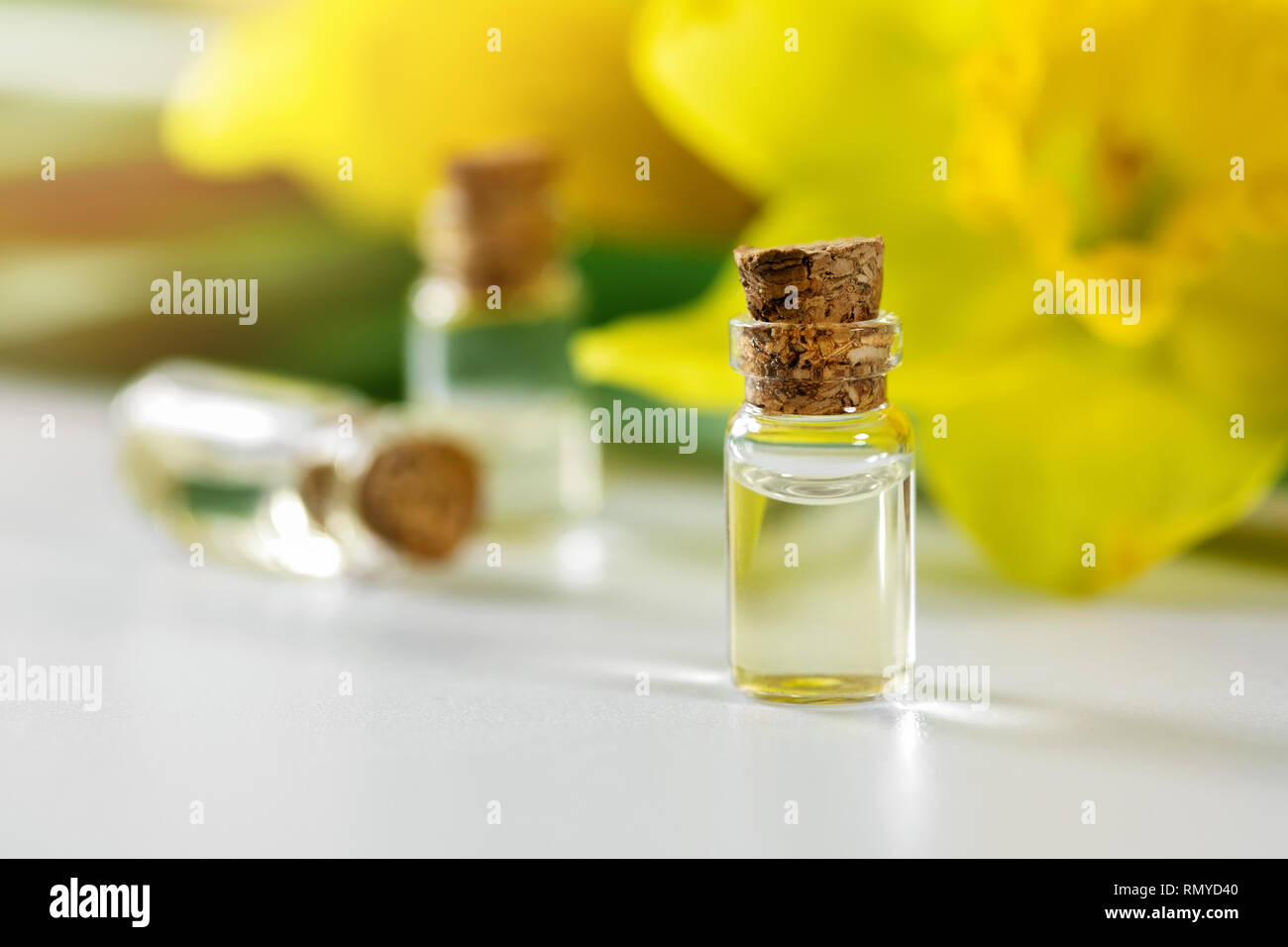 Narzisse ätherisches Öl Flaschen mit gelben Blüten Stockfoto