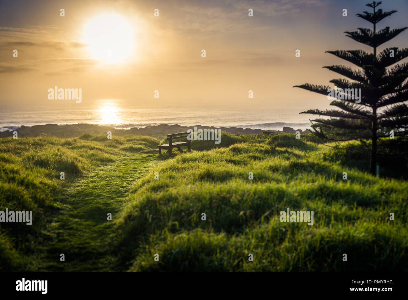 Eine Bank mit Blick auf das Meer in South Coast von New South Wales, Australien Stockfoto