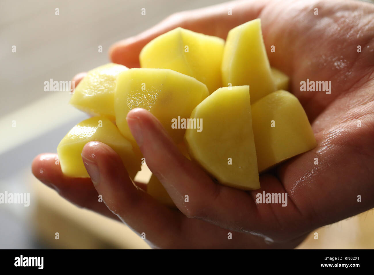 Ein Mann hält geschält und gehackt Kartoffelstücke in seiner Hand. Zubereitung von Kartoffelpüree. Farbe Bild mit Makro Objektiv aufgenommen. Stockfoto