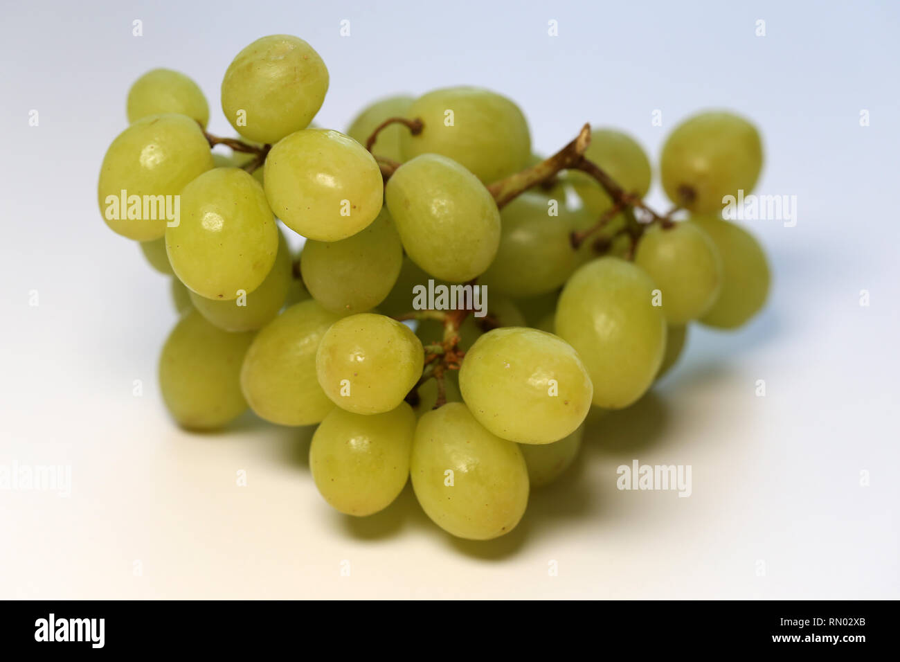 Reif und saftig grüne Trauben fotografiert auf einem Tisch. Farbe Bild von gesunden und leckeren Trauben. Nahaufnahme mit einem Makro Objektiv aufgenommen. Stockfoto