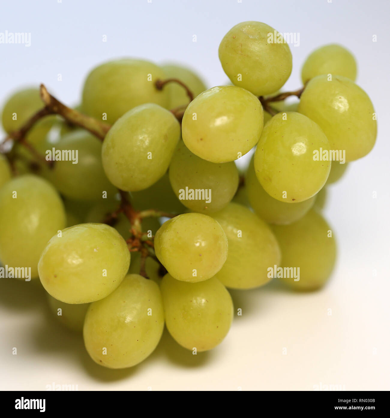 Reif und saftig grüne Trauben fotografiert auf einem Tisch. Farbe Bild von gesunden und leckeren Trauben. Nahaufnahme mit einem Makro Objektiv aufgenommen. Stockfoto