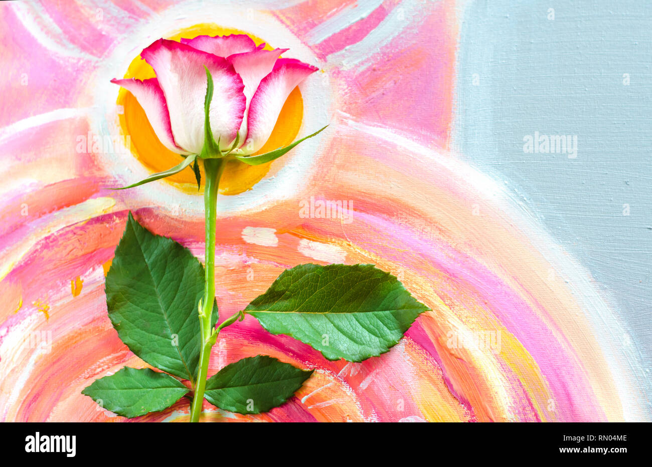 Rose auf einem malerischen Leinwand Hintergrund. Grußkarte, Muttertag, Tag der Frauen. Stockfoto