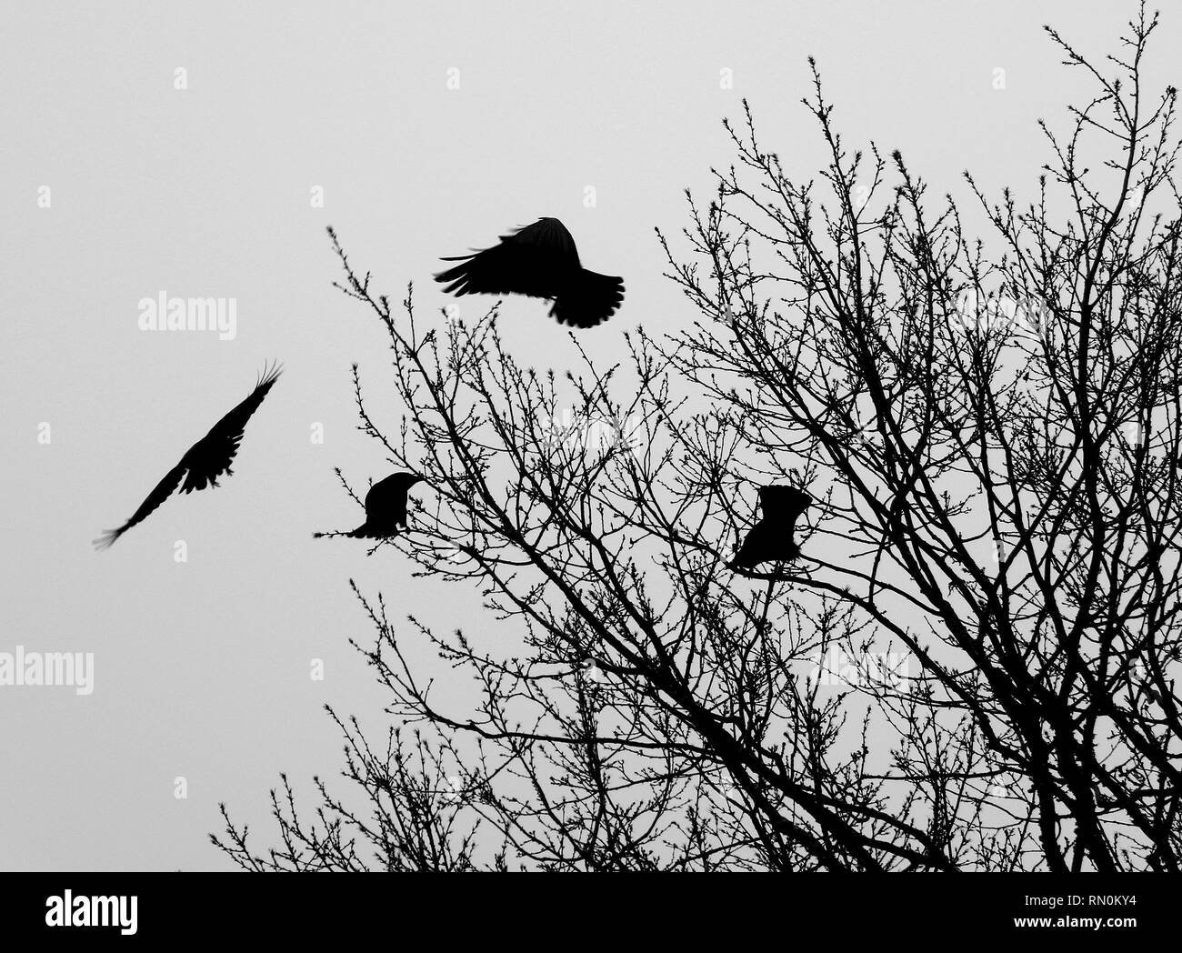 Luftlinie Stockfoto