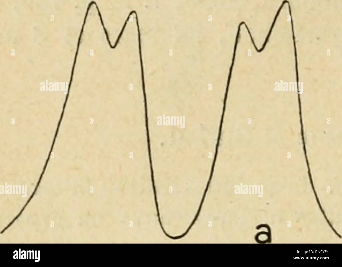 . Annales de la Société entomologique de France. Insekten; Entomologie. 142 C. HOUARD. Plaketten jaunâtres (pi. Ich, 9,10); elle présente une Petite lame d'épiderme desséché, blanchâtre et circulaire, qui obstrue l'entrée de la cavité larvaire (llg. 293, 294). Celle-ci est un peu et renferme allongée ou Bien une Dove Brique Rouge ou Bien une Nymphe orangée, de 2,5 Mio. de Länge, munie de deux longues Dellen frontales. A l'époque de l'Erscheinung de l'adulte (du 7 avril 1910 jusqu'en Mai de la même année), Le Trou d'éclosion est en Général obstrué par les débris de l'Briefumschlagsymbol nymphale et Muni su Stockfoto