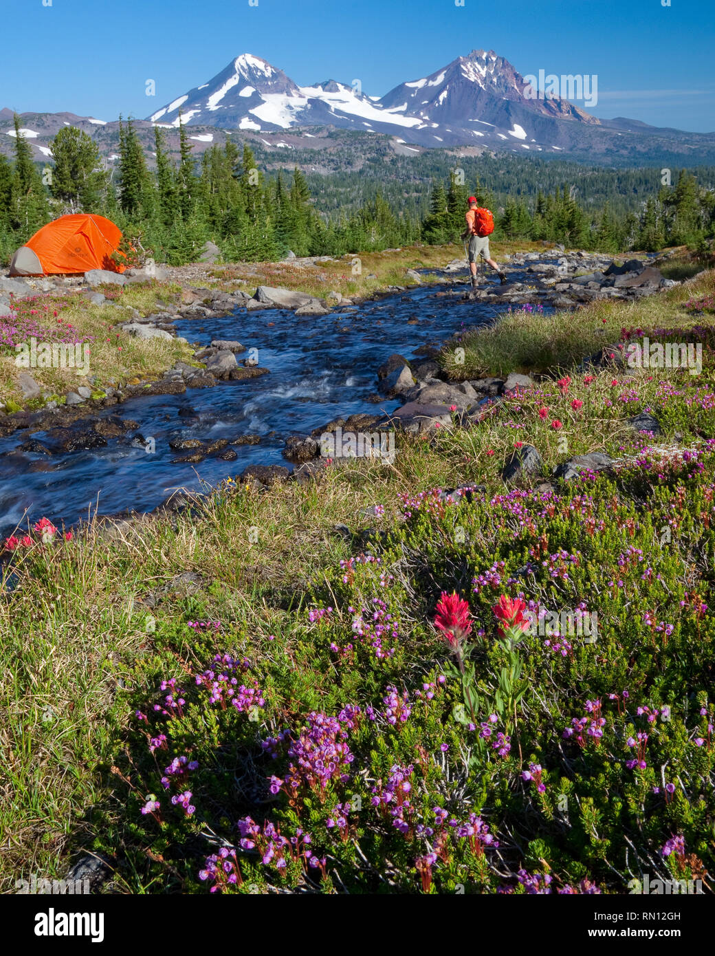 Backpacking in den Drei Schwestern Wilderness Area in der Nähe von Bend Oregon Stockfoto