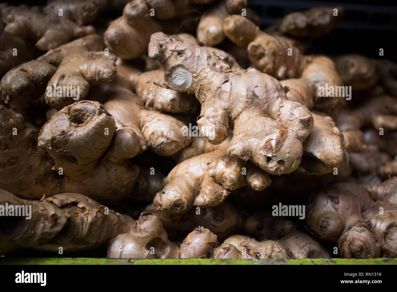 Frische gingers angezeigt auf dem Markt für frische Erzeugnisse Stockfoto