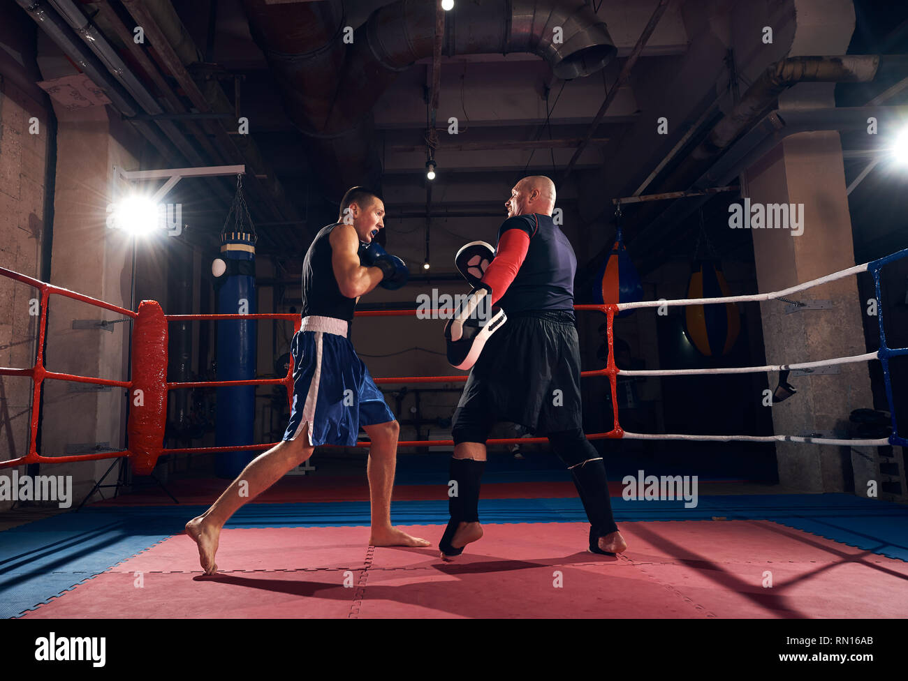 Kickbox kampf Fotos und Bildmaterial in hoher Auflösung Alamy