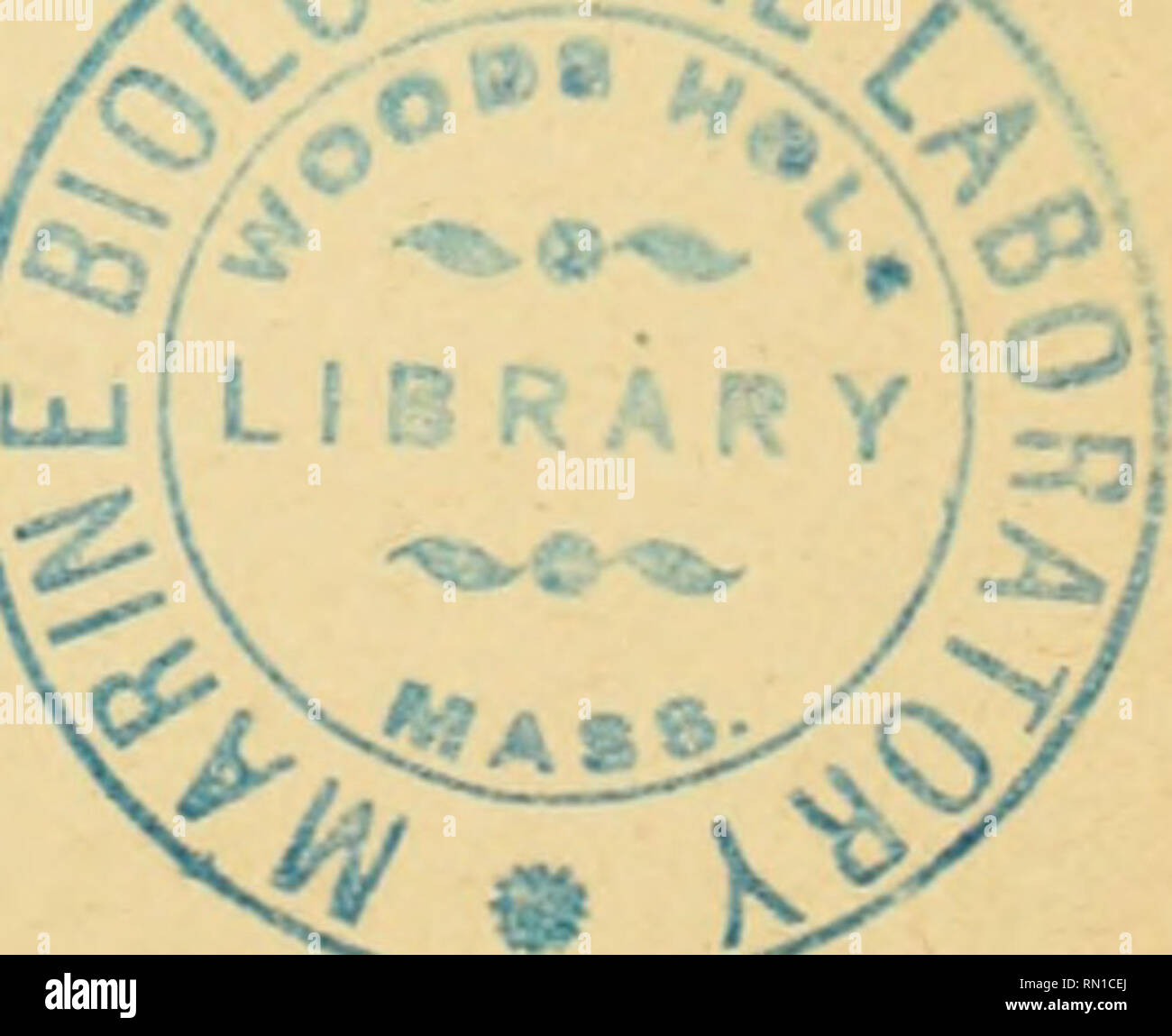 . Annales de micrographie. -37-D'Tavel. - Deux Cas de Gastro-entérite à la suite de ringestion d'un jambon. {Schwm CorrespondenyMait Fell. Ärzte, XVJI, n*14, 1887). Appelé à faire l'Examen d'un bactériologique Jambon, dont l'in-gestion avait provoqué chez les époux X*** une gastro - gravité entérite d'une telle qu'elle entraîna la mort de la Femme, le D "^Tavel réussit à en isoler, Gleichheit der Kulturen sur Plaketten, Un certain Nombre de Kolonien présentant tous les caractères du Bacille char-bonneux. Inoculés à la Souris, Ces bacilles Leur communiquèrent un-charbon (tuméfaction typique de Stockfoto
