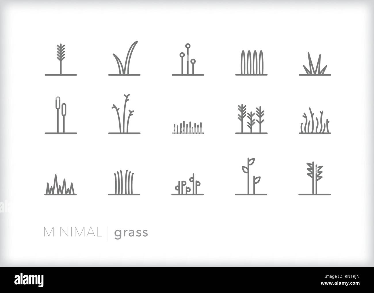 Satz von 15 einfache Gras Zeile für Symbole zeigt abstrakte Typen von Gras, Laub, Unkraut, Stiele und Blüten, Felder, Wiesen, Wälder und Natur gefunden Stock Vektor