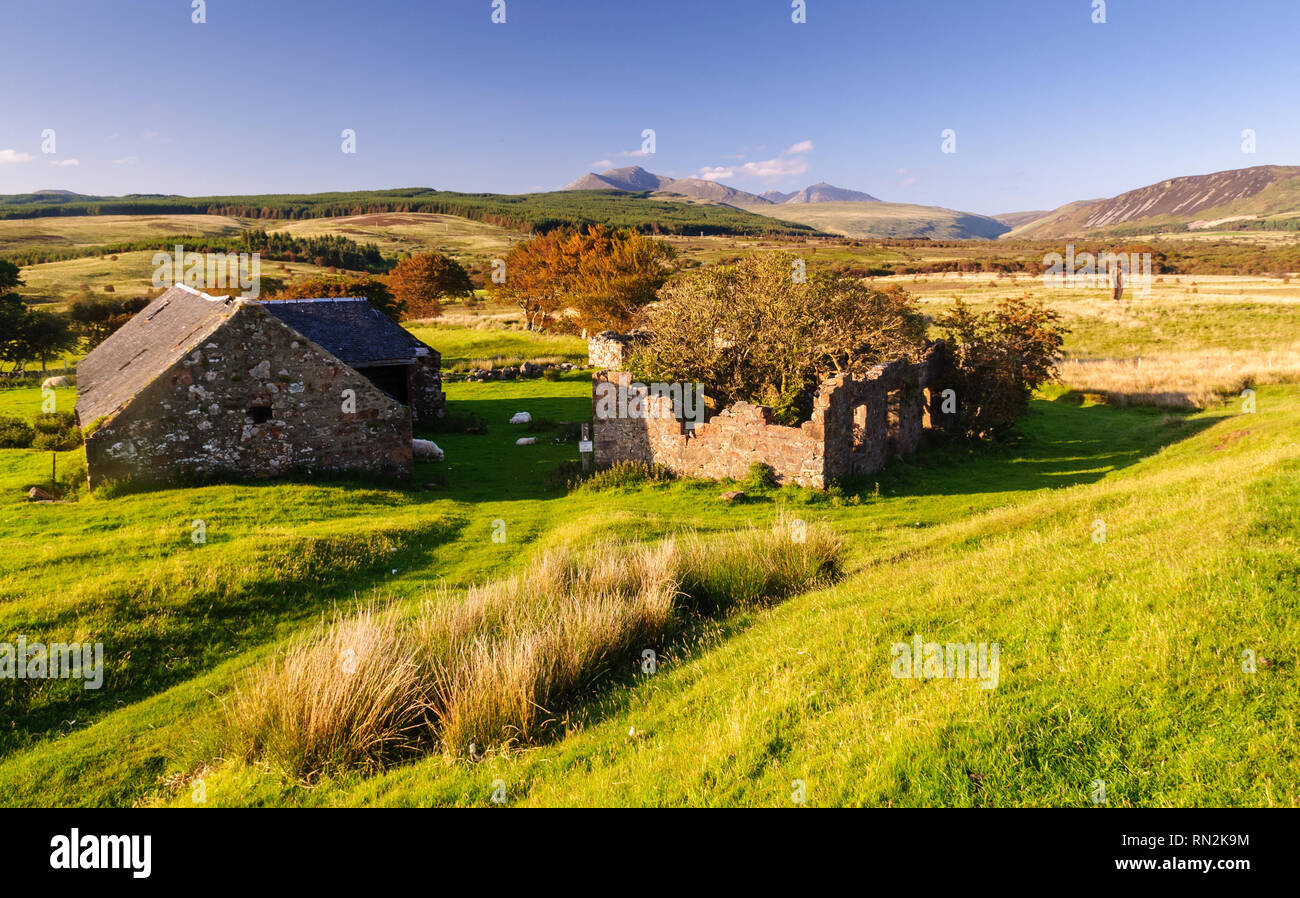 Schafe im Schatten einer alten Scheune auf der Fernbedienung Machrie Moor unter den Bergen von der Insel Arran in den Highlands von Schottland. Stockfoto