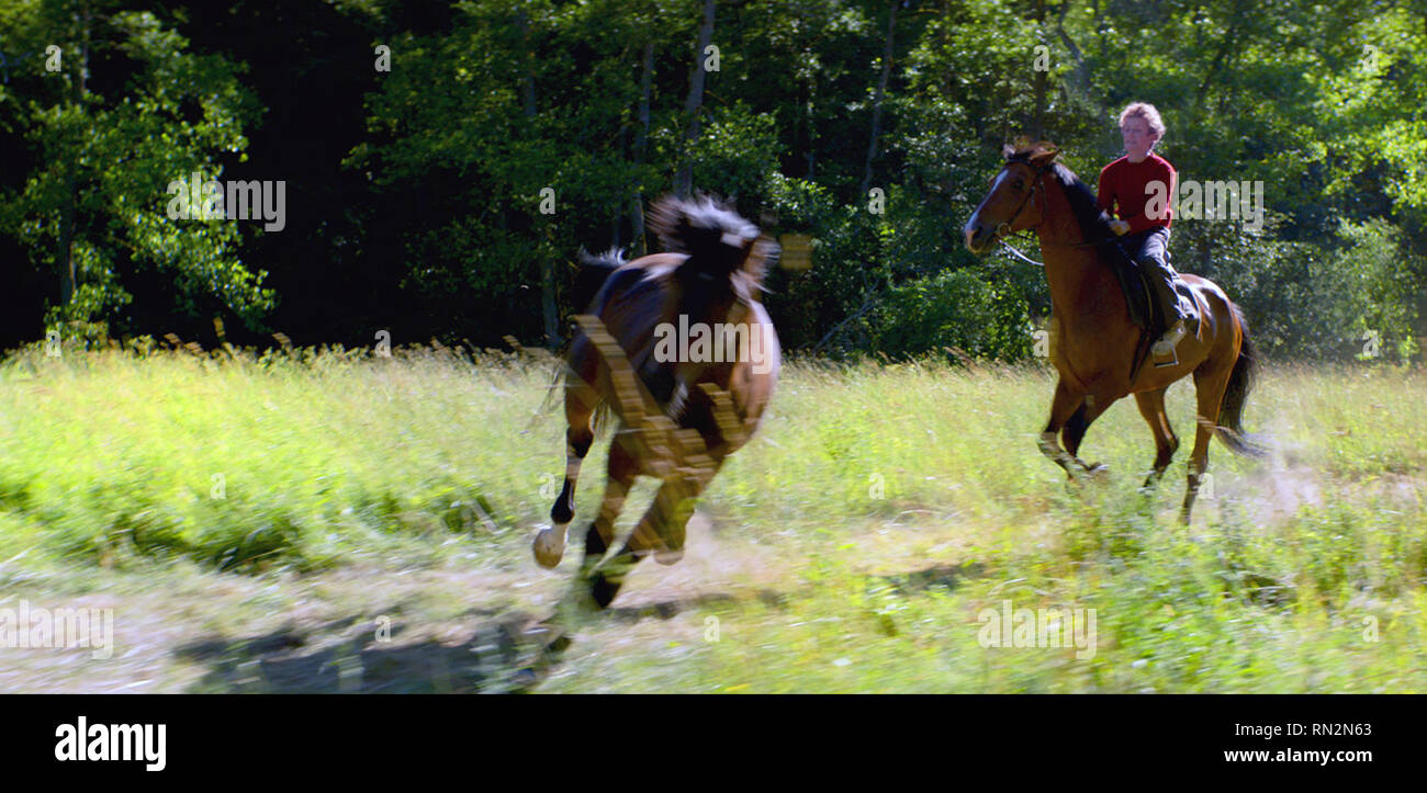Die Pferde stehlen (Norwegisch: Ut og stjaele Hester) ist ein 2019 norwegischer Film unter der Regie von Hans Petter Moland. Dieses Foto ist nur für den redaktionellen Gebrauch bestimmt und unterliegen dem Copyright der Film Company und/oder der bezeichneten Fotograf durch den Film oder die Produktion Firma zugewiesen. Stockfoto