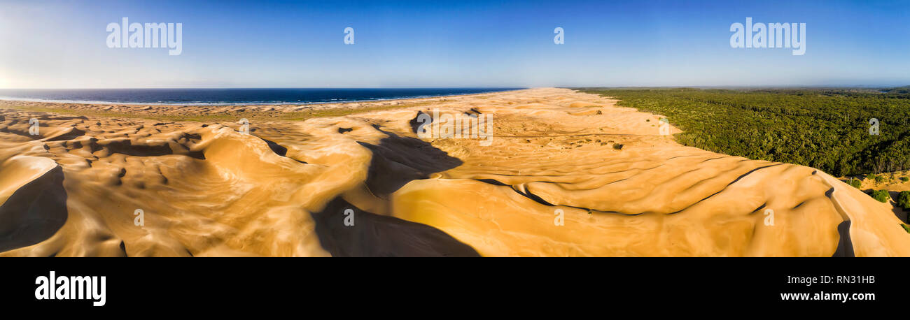 Leblos erodiert Sanddünen entlang der langen und breiten Stockon Strand an der Pazifikküste von Australien in erhöhten Antenne Panorama vom Meer bis zum immergrünen Wälder. Stockfoto