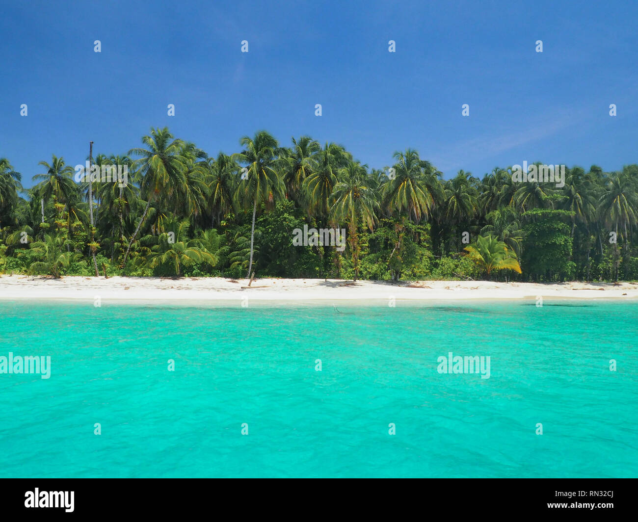 Insel Cayo Zapatilla in Bocas del Toro, Panama Stockfoto