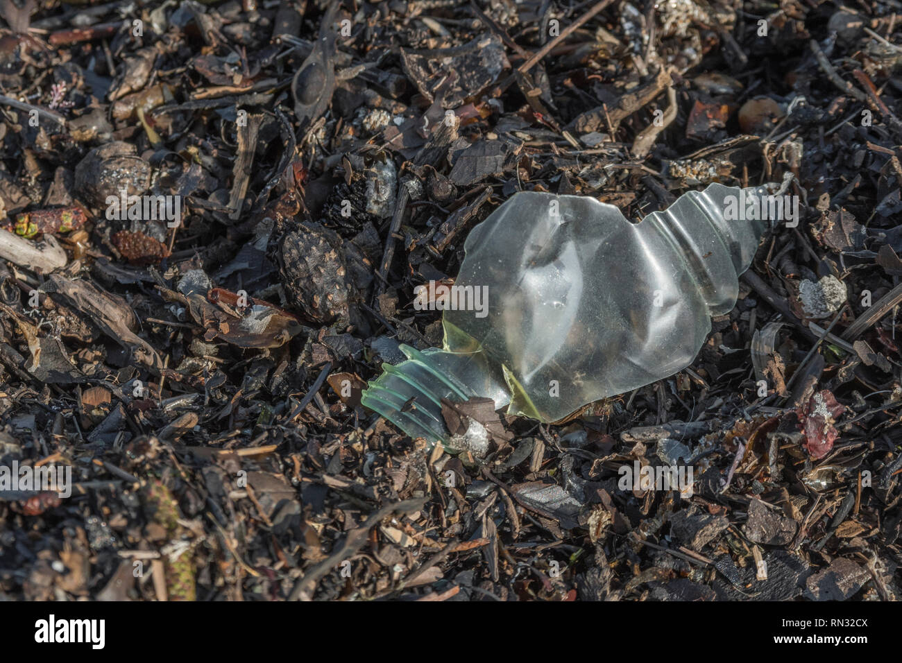 Download Kuestenstrand For iPhone Kuestenstrand