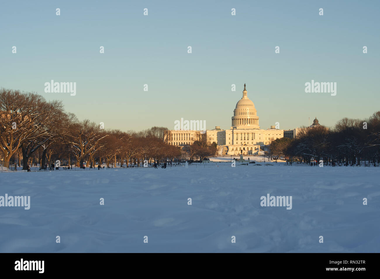 United stets Capitol in Washington DC, USA Stockfoto