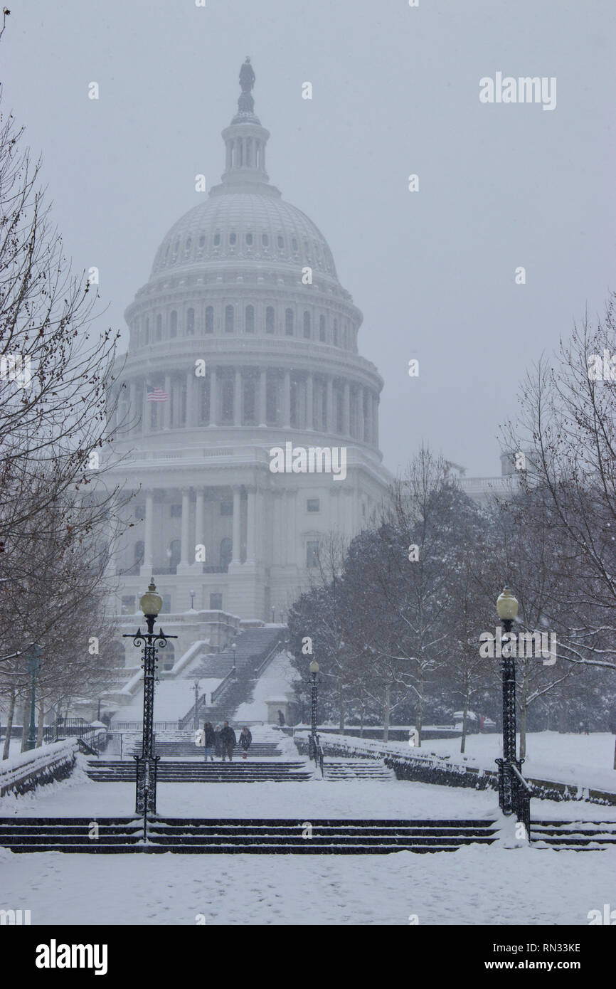 United States Capitol in Washington DC, USA Stockfoto