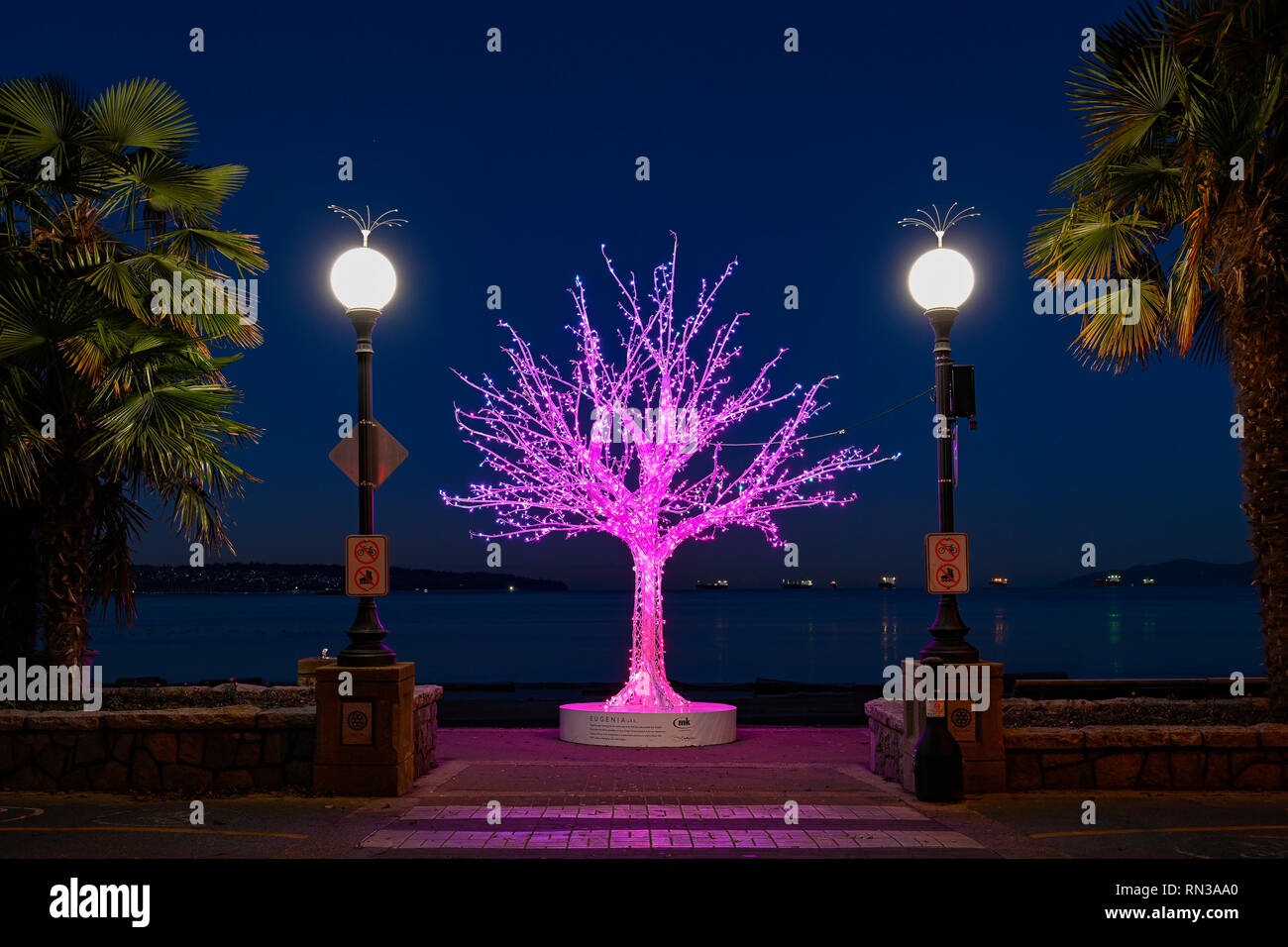Lumiere Festival, Licht, Kunst, Installation, Eugenia, von MK Illumination, English Bay, Vancouver, British Columbia, Kanada Stockfoto