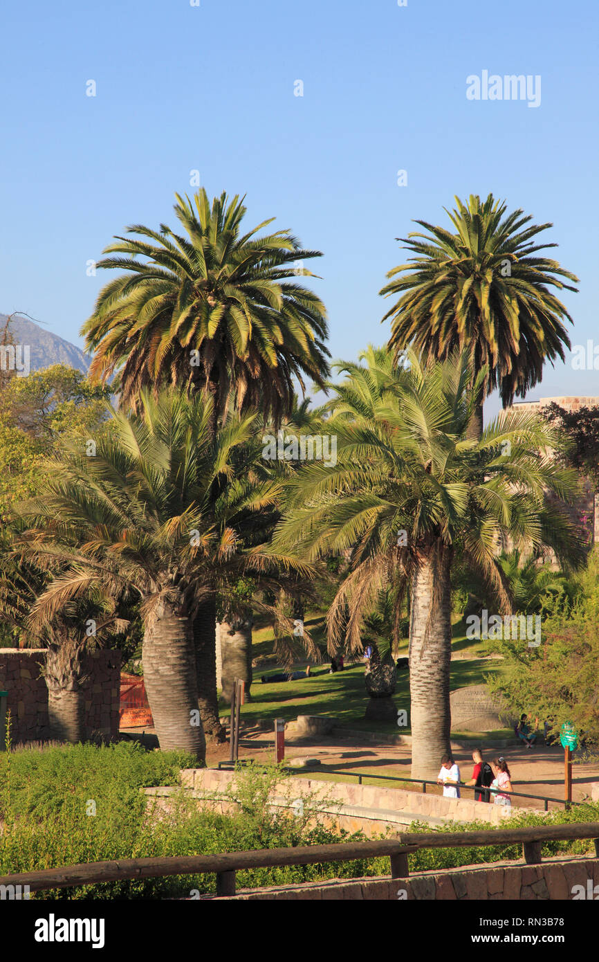 Chile, Santiago, Parque Metropolitano, Palmen, Menschen, Stockfoto