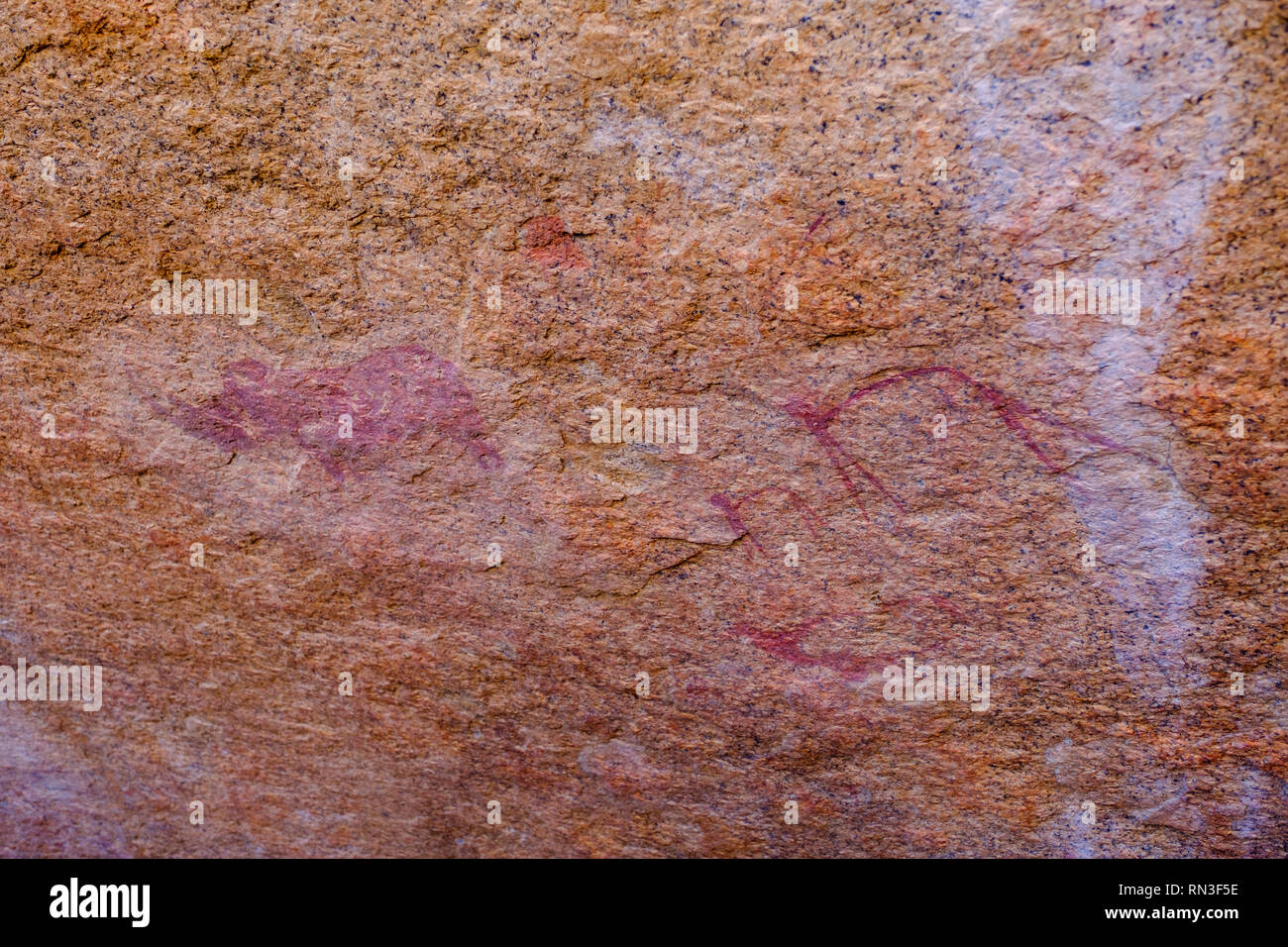 Bushman Felsmalereien in der Spitzkoppe Naturschutzgebiet in Namibia Stockfoto