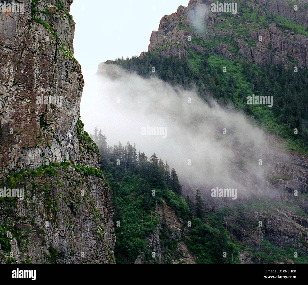 Einen herrlichen Blick auf Nebel schnell zwischen zwei bewaldeten Berggipfel in der Nähe von Denali National Park, Alaska, USA. Stockfoto