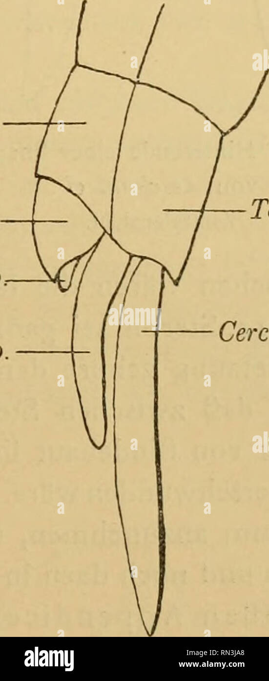 . Annalen des Naturhistorischen Museen in Wien. Naturhistorisches