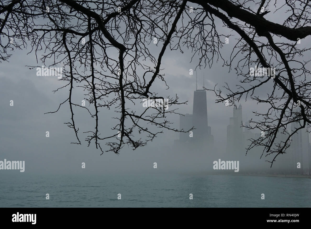 Silhouette der Stadt buildingsr mit Baumzweige mit Nebel Stockfoto