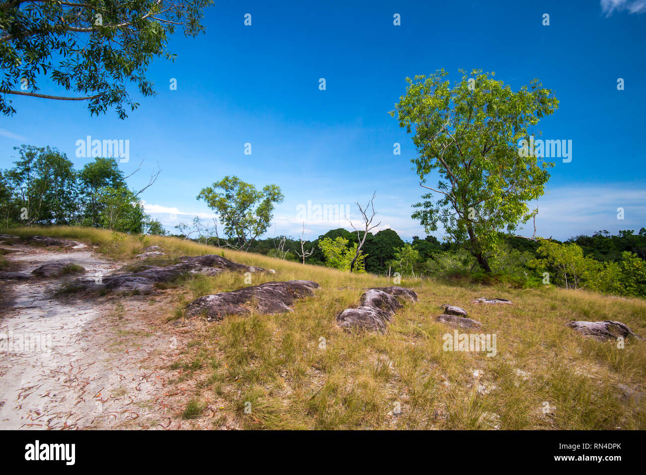 Bukit Kubong ist bei 148 m über dem Meeresspiegel und es ist ein beliebter Ort zum Wandern in Labuan Island. Stockfoto