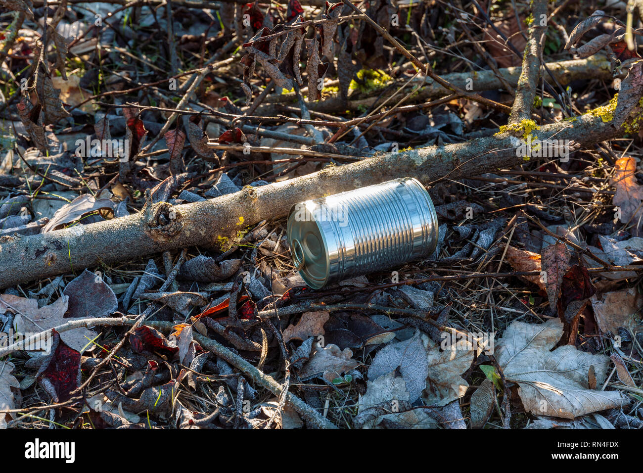 Noch immer leben eines leeren verwendet Blechdose mit Deckel und ziehen Sie Abfälle auf frostigen rime Waldboden als Umweltverschmutzung closeup Stockfoto
