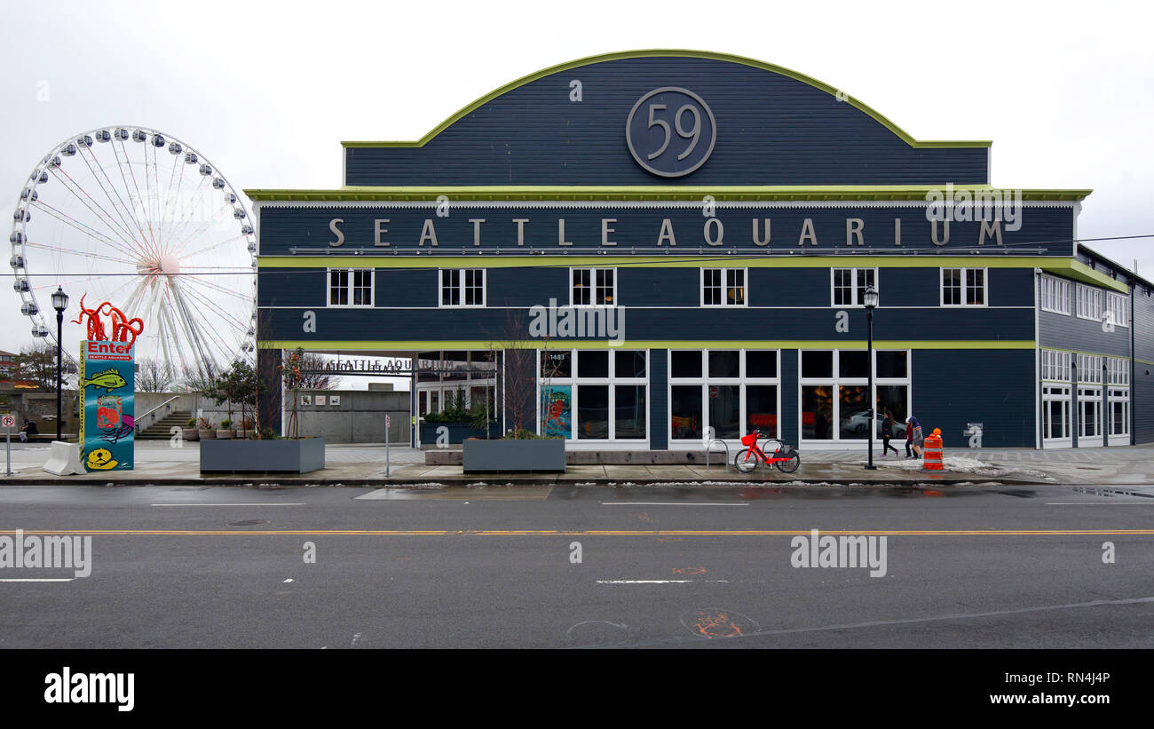 Das Seattle Aquarium mit den Seattle Super Rad im Hintergrund, Seattle, Washington Stockfoto