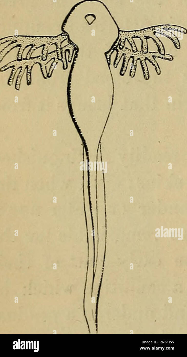 Die Tierphysiologie Physiologie Vergleichende Physiologie