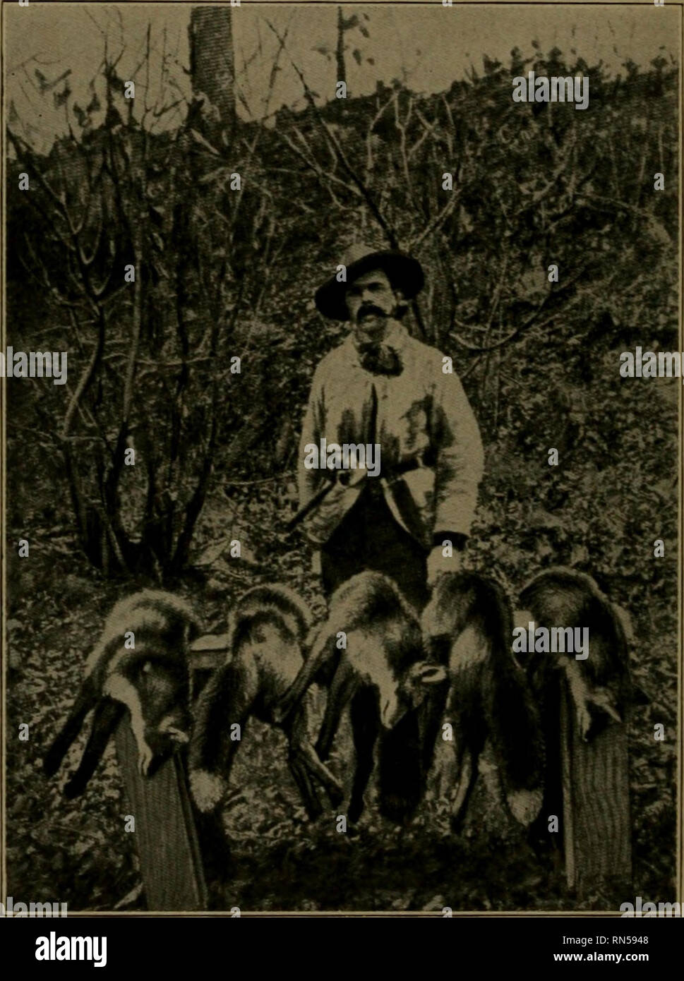 Andersch Bros Jager Und Fallensteller Anleitung Das Fell Der