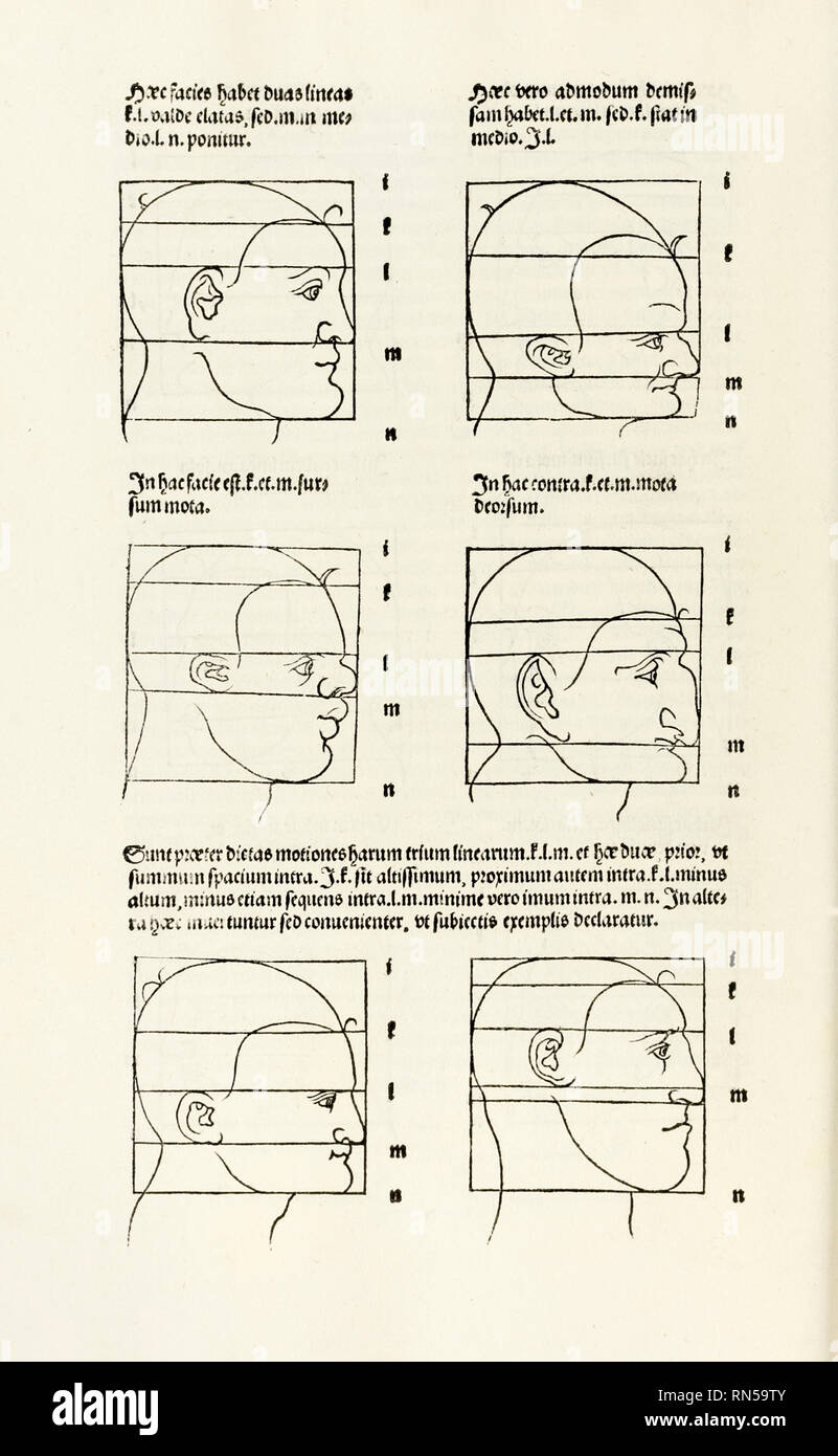 Proportionen des menschlichen Kopfes von "Hierinn Sindh begriffen Vier Bücher von menschlicher Proportion' von Albrecht Dürer (1471-1528) eine Arbeit über den Anteil des menschlichen Körpers, die erstmals in 1528 veröffentlicht. Stockfoto