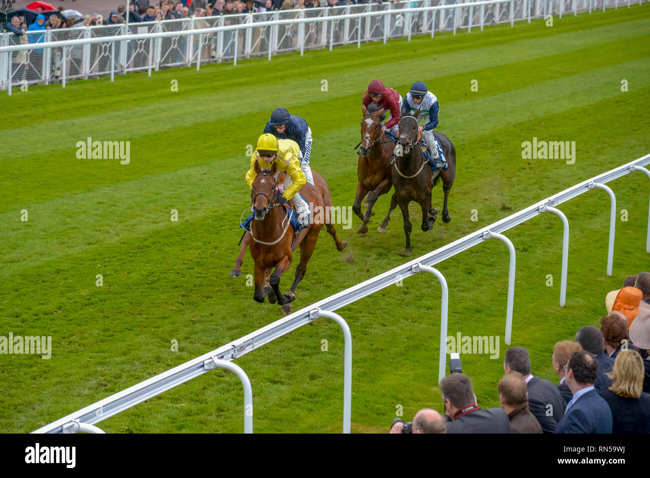 Die Chester Vase Rennen treffen in Chester Rennen. Stockfoto