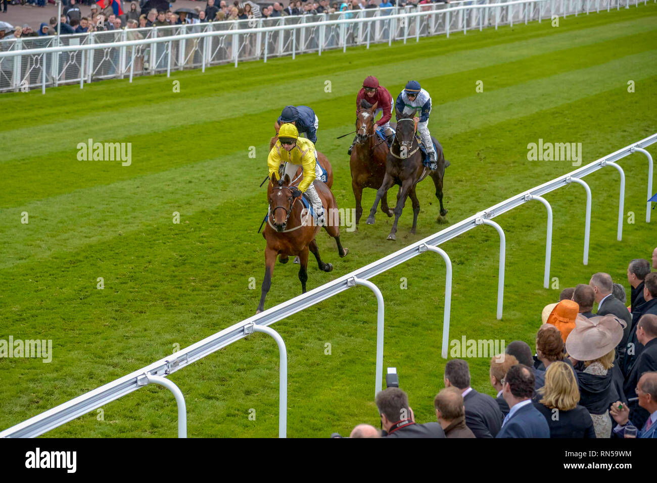 Die Chester Vase Rennen treffen in Chester Rennen. Stockfoto