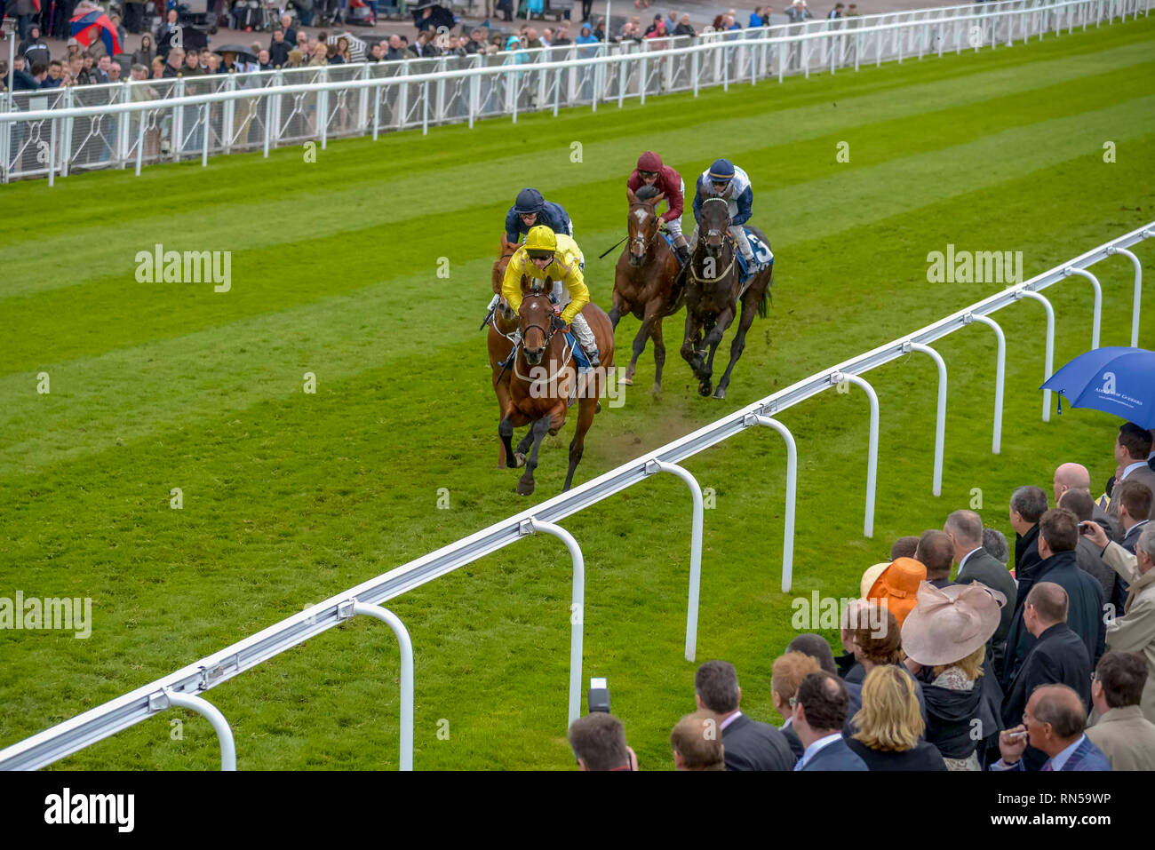 Die Chester Vase Rennen treffen in Chester Rennen. Stockfoto
